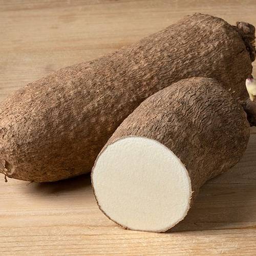 YUCA(YAM)